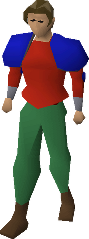 File:Carnillean armour equipped.png