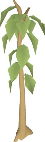 File:Teak tree.png