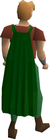 File:Fremennik green cloak equipped.png