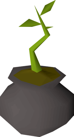 File:Bagged plant detail.png
