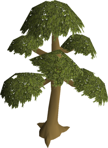 File:Yew tree.png