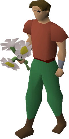 File:White flowers equipped.png