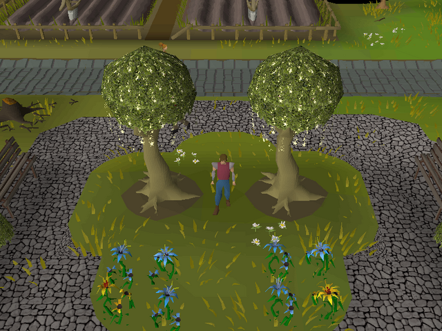 File:Coordinate clue 10.54N 20.50W.png
