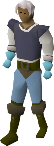 File:Ice gloves equipped.png