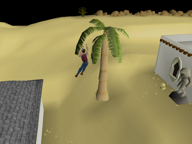 File:Al Kharid Agility Course 5.png