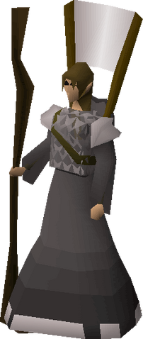 File:Squire (Novice).png