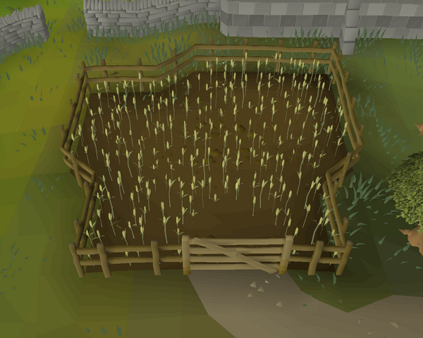 File:Cooks' Guild wheat field.png