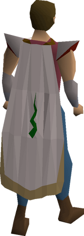 File:Guthix cloak equipped.png