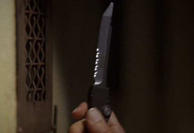 File:4x06 Microtech HALO.jpg