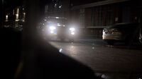 Night-harlequin-avenue