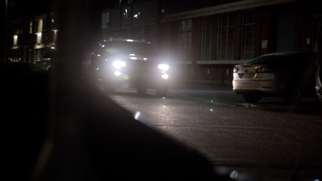 File:Night-harlequin-avenue.jpg