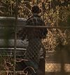 Blue and white check gate ep11