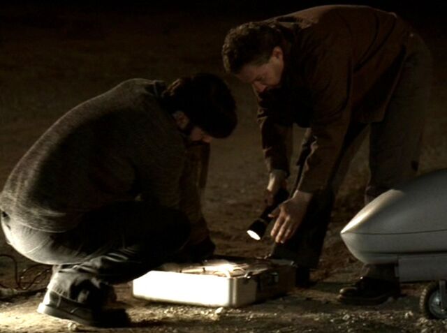 File:6x14 7.03pm hirsute, flashlight.jpg