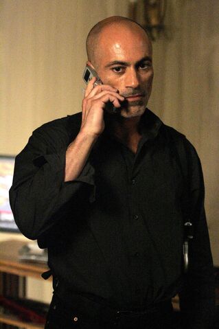 File:Abu Fayed.jpg