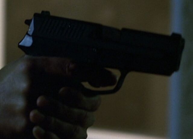 File:4x22 SIG pro.jpg