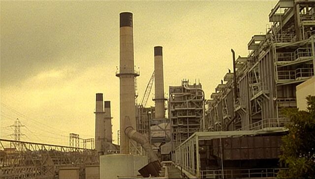 File:SantaClaritaPlant.jpg