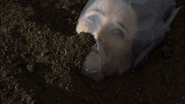 Archivo:Reneeburied.jpg