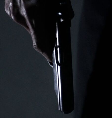 File:9x10 Walther.jpg