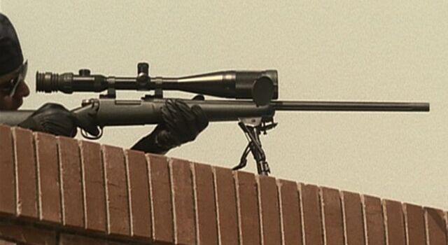 File:3x20 Remington.jpg