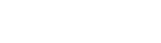 File:2ne1 logo white.png