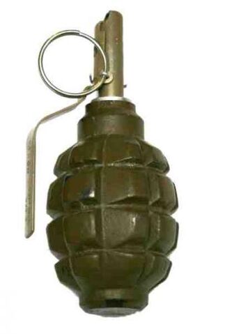 Plik:Granat-F1.jpg