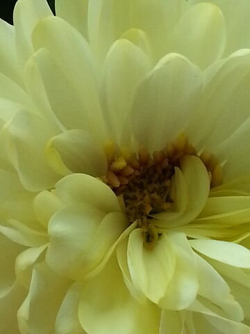 File:IMG 20140423 122740-1-.jpg