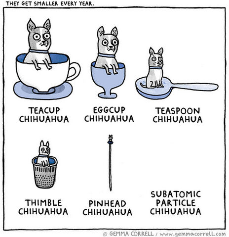 File:Tumblr n2c0o5p33h1s04h2ho1 500.jpg