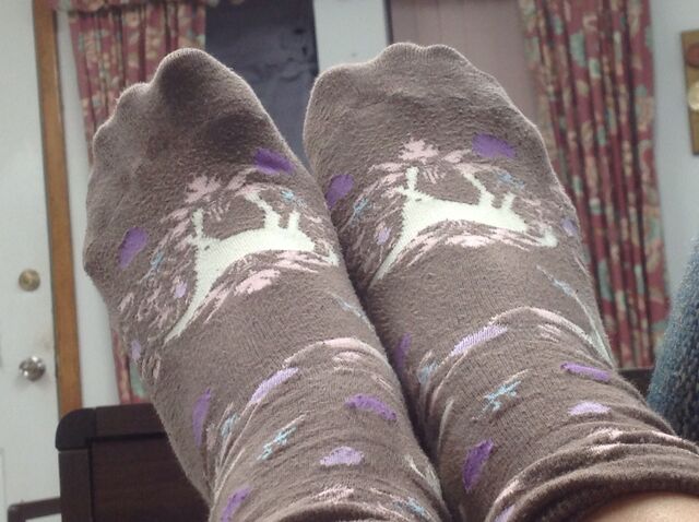 File:Meh Feet.jpeg