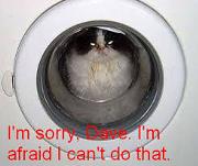 File:180px-Cat1.jpg