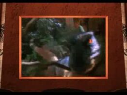 Second Deinonychus