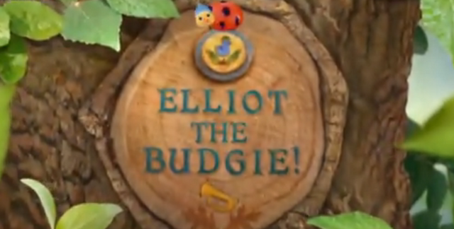 File:Elliot the Budgie!.png