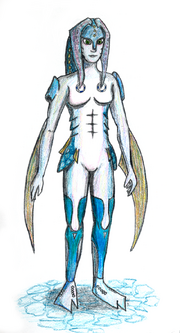 Cav zora
