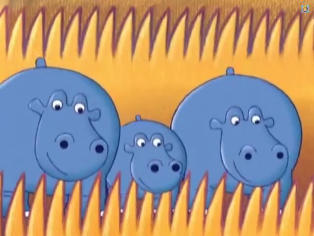 File:Hippos.jpg