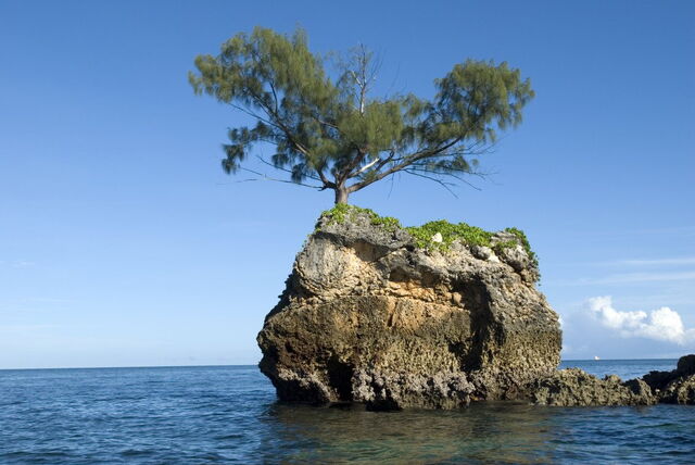 File:Exile Island.jpg