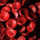 Featured-leukemia