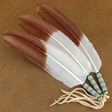 Image - Native-American-Indian-Feathers.jpg | A101 Wiki | FANDOM