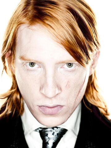 File:Bill-Weasley-harry-potter-and-the-deathly-hallows-movies-17182060-1919-2560.jpg