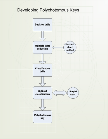 File:Polychotomous key.png