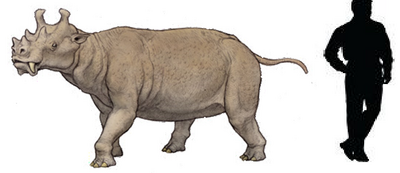 Uintatherium.png