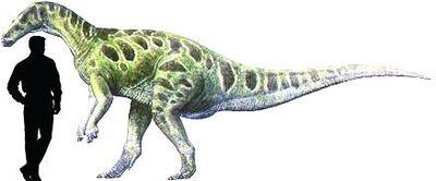 Callovosaurus