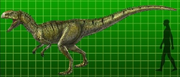 Neovenator.png