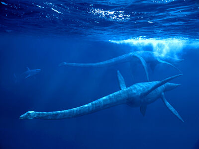 Elasmosaurus-3