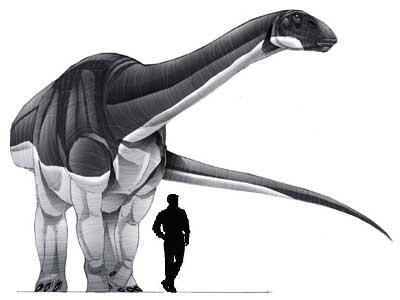 Abrosaurus.jpg