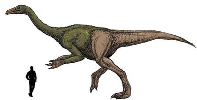 Deinocheirus.jpg