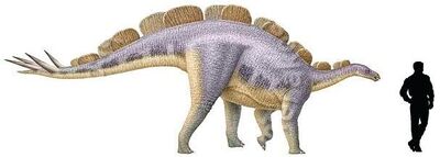 Wuerhosaurus