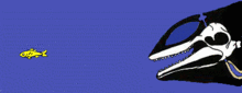 Delfin ecolocalización.gif