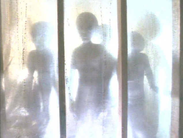 Fichier:Wikia-Visualization-Add-3,frxfiles.png