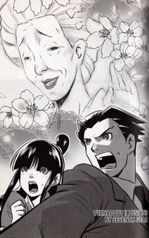 File:Turnabout Illusions.png
