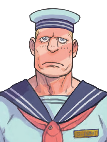 File:Strogonavp.png
