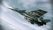 Su-33 SAAM.jpg